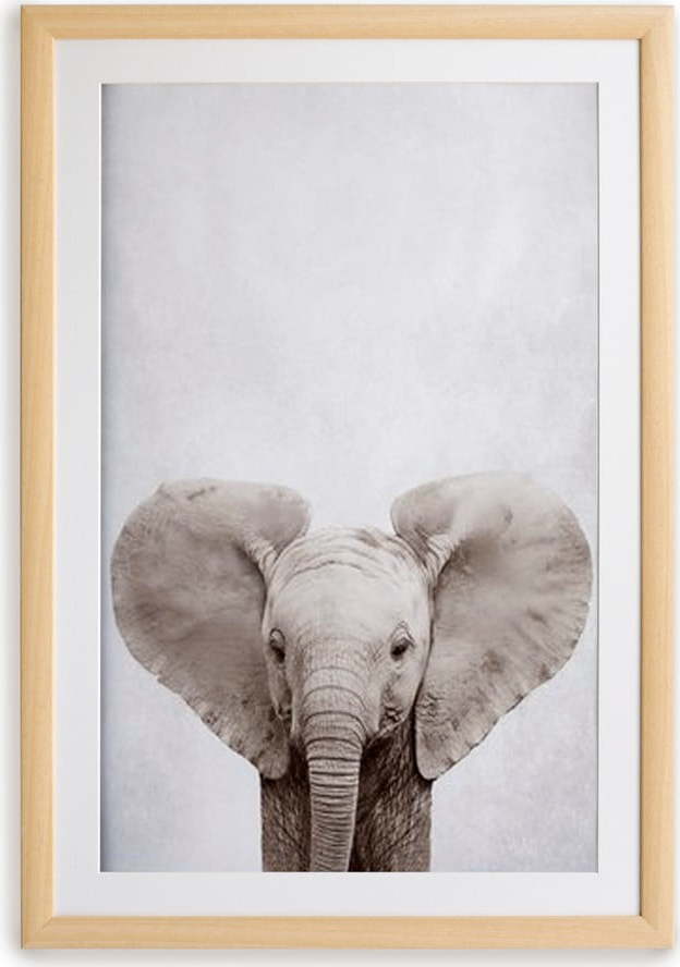 Nástěnný obraz v rámu Surdic Elephant